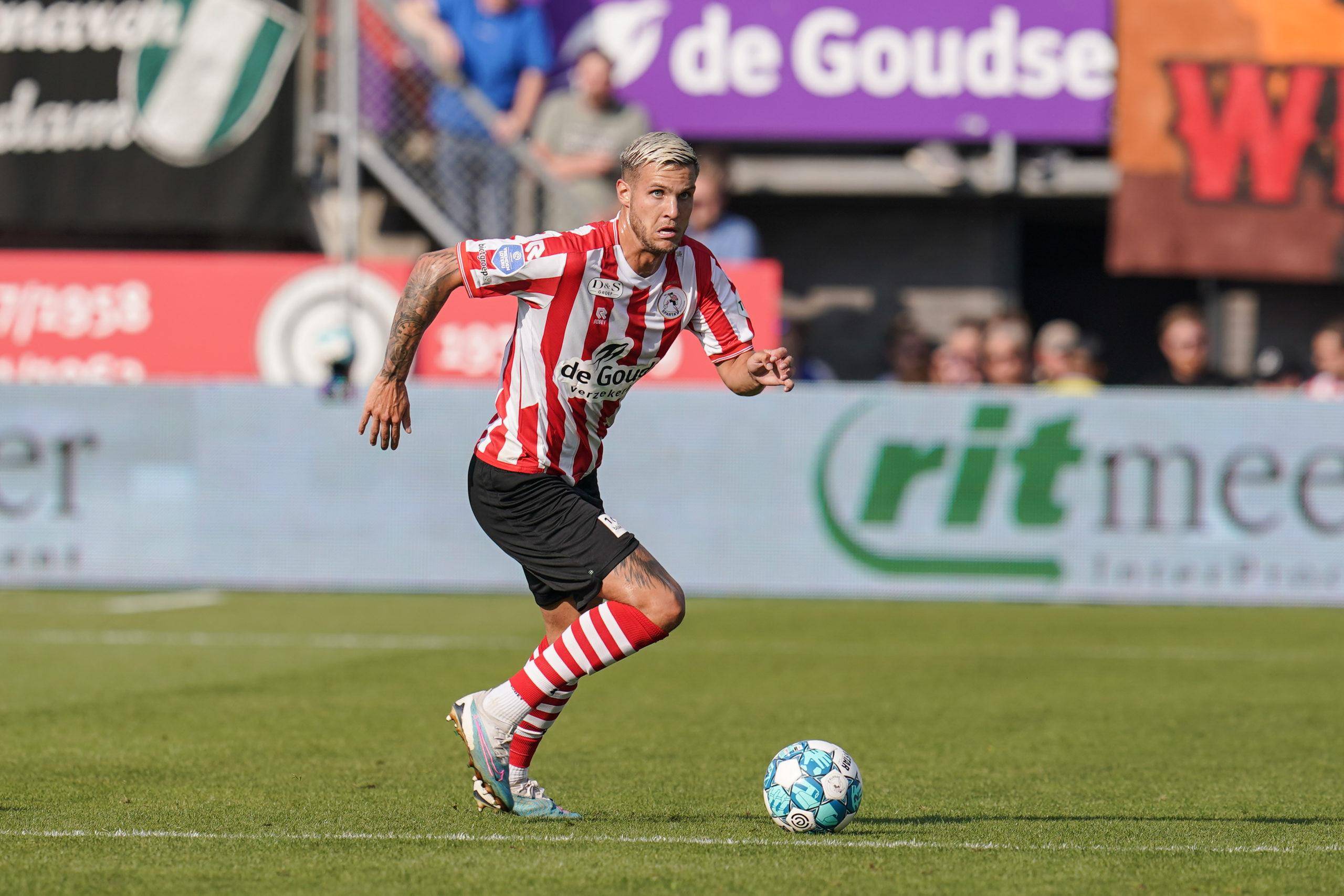 他们将有望 他们将有望